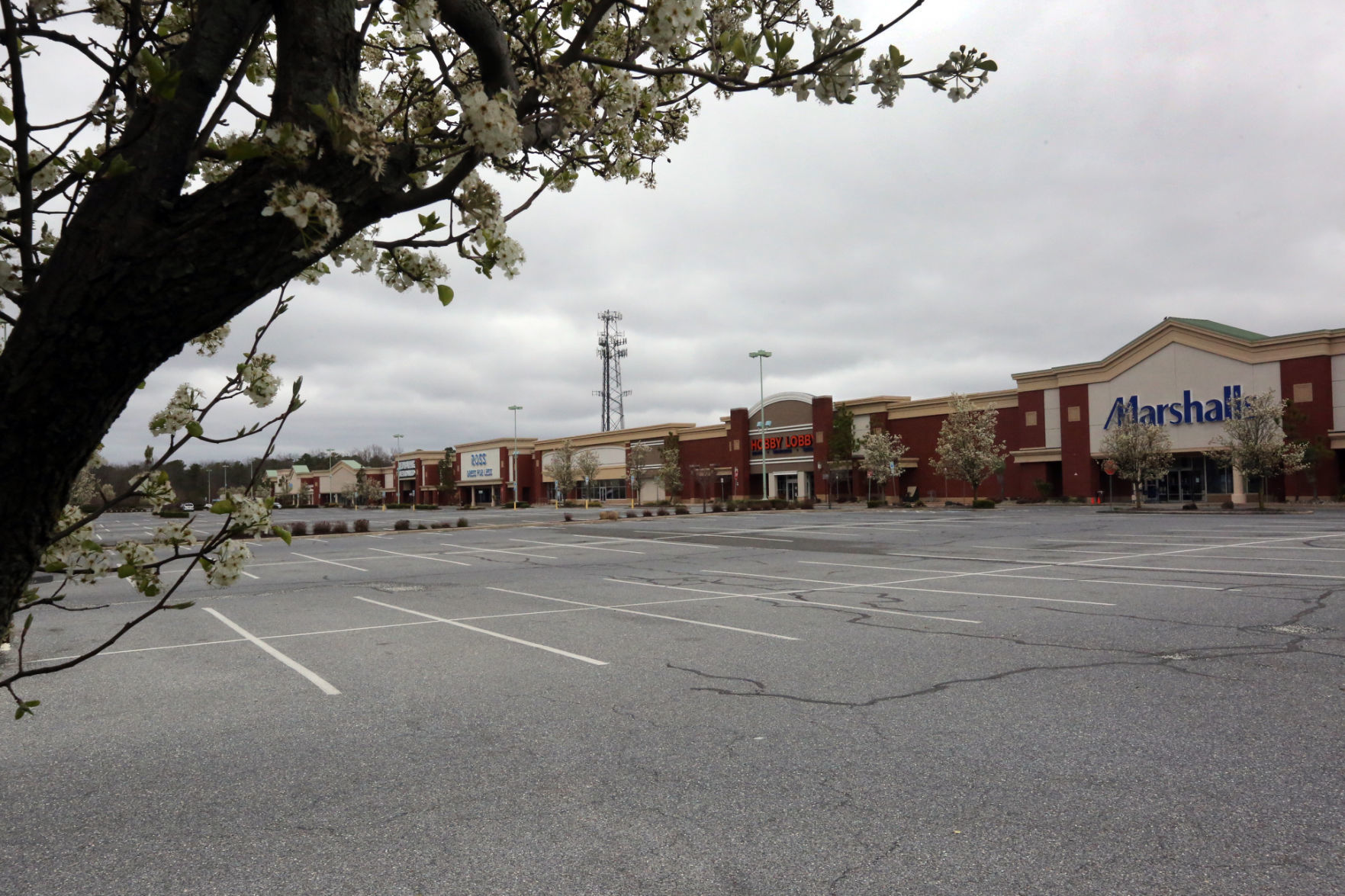 Covid-19 closes South Jersey businesses